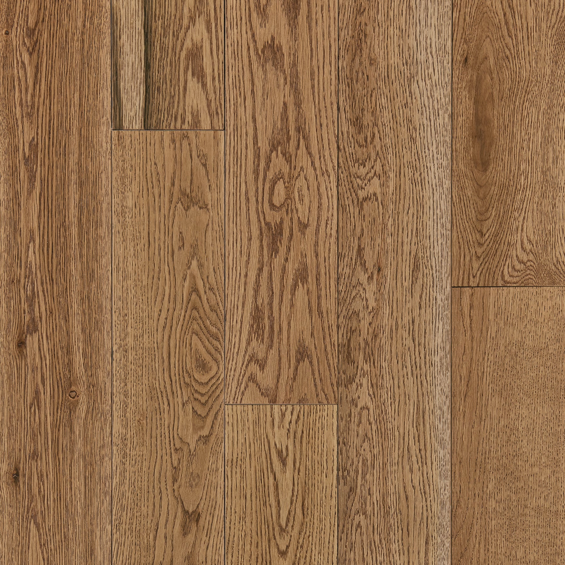 Bruce (Sample) America's Best Choice Haven Point White Oak Solid Smooth/Traditional Hardwood Flooring