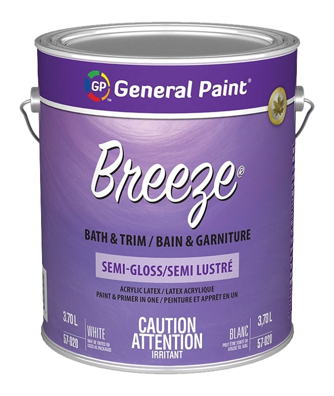 57054-16 PAINT SGLS CLR/BS GAL